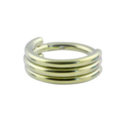 Titanium hinged banded ring