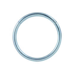 Titanium hinged segment ring