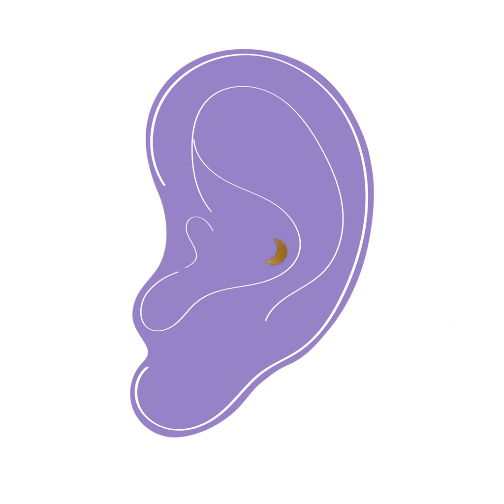 Conch