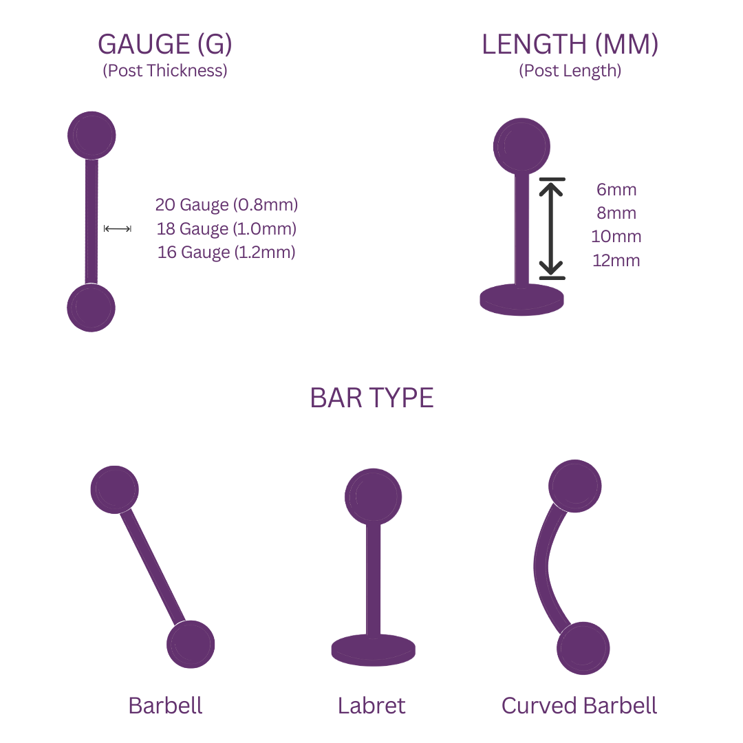 Titanium Internally Threaded Shell Labret – Serenity Jewellery UK