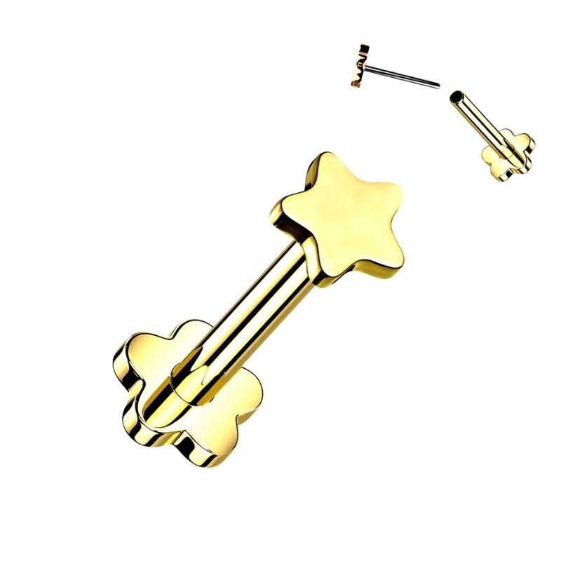 Single Titanium Star Cartilage Hypoallergenic Stud