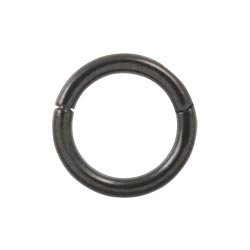 Black PVD titanium hinged segment ring