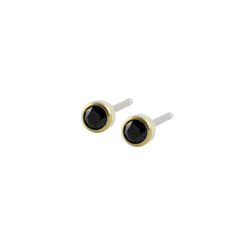Blomdahl golden titanium crystal earrings