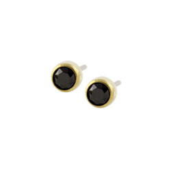 Blomdahl golden titanium crystal earrings