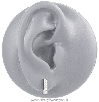 Blomdahl titanium brilliance straight pendant earrings