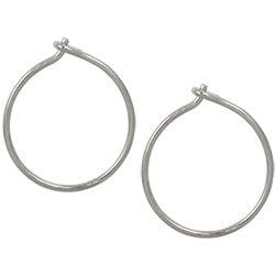 Blomdahl titanium sleeper hoops