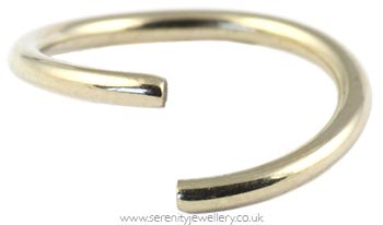 Gold PVD steel continuous ring