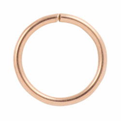 Rose gold PVD steel continuous ring