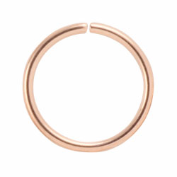 Rose gold PVD steel continuous ring