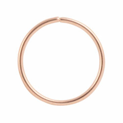 Rose gold PVD steel continuous ring