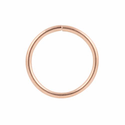 Rose gold PVD steel continuous ring