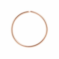 Rose gold PVD steel continuous ring