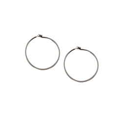 Element 41 niobium sleeper hoops