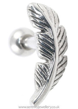Silver discount gauge earrings
