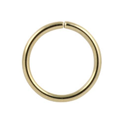 Gold PVD steel continuous ring