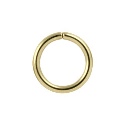 Gold PVD steel continuous ring