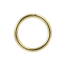 Gold PVD steel continuous ring