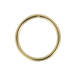 Gold PVD steel continuous ring