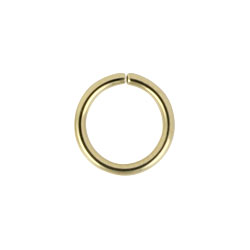 Gold PVD steel continuous ring