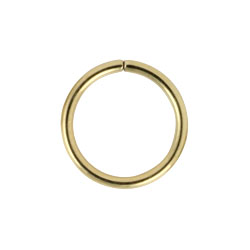 Gold PVD steel continuous ring