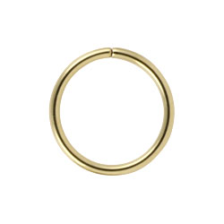 Gold PVD steel continuous ring