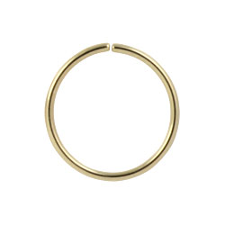 Gold PVD steel continuous ring