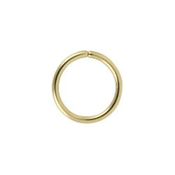 Gold PVD steel continuous ring