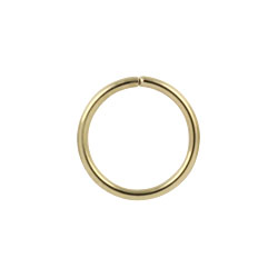 Gold PVD steel continuous ring