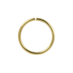 Gold PVD steel continuous ring