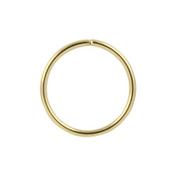 Gold PVD steel continuous ring