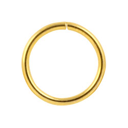 Gold PVD steel continuous ring