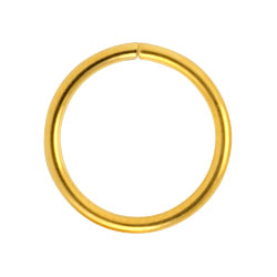 Gold PVD steel continuous ring