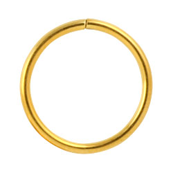 Gold PVD steel continuous ring