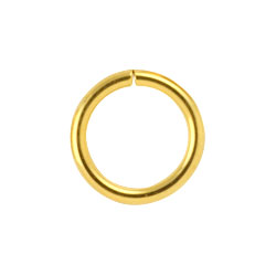 Gold PVD steel continuous ring