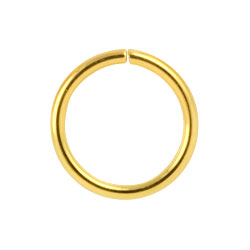 Gold PVD steel continuous ring