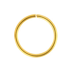 Gold PVD steel continuous ring