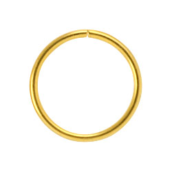 Gold PVD steel continuous ring