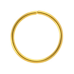 Gold PVD steel continuous ring