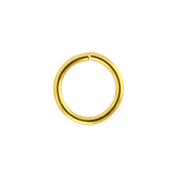 Gold PVD steel continuous ring