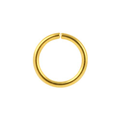 Gold PVD steel continuous ring