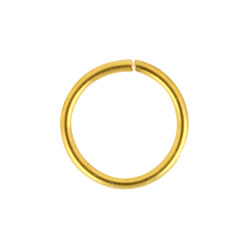 Gold PVD steel continuous ring