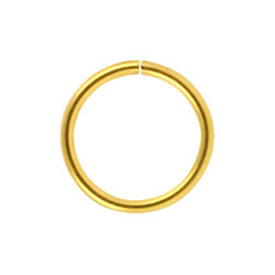 Gold PVD steel continuous ring