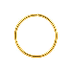 Gold PVD steel continuous ring