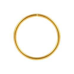 Gold PVD steel continuous ring