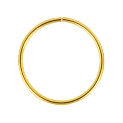 Gold PVD steel continuous ring