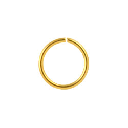 Gold PVD steel continuous ring