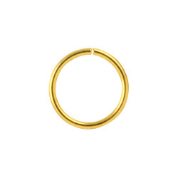 Gold PVD steel continuous ring