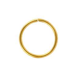 Gold PVD steel continuous ring