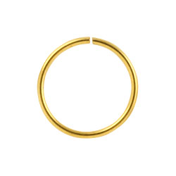 Gold PVD steel continuous ring