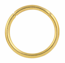 Yellow gold PVD titanium hinged segment ring